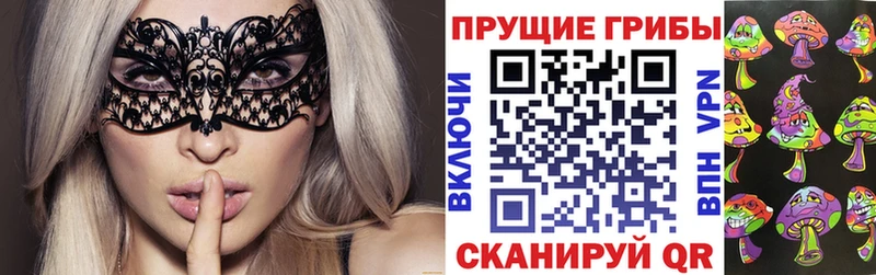 Псилоцибиновые грибы Cubensis  Купить  Артёмовск 